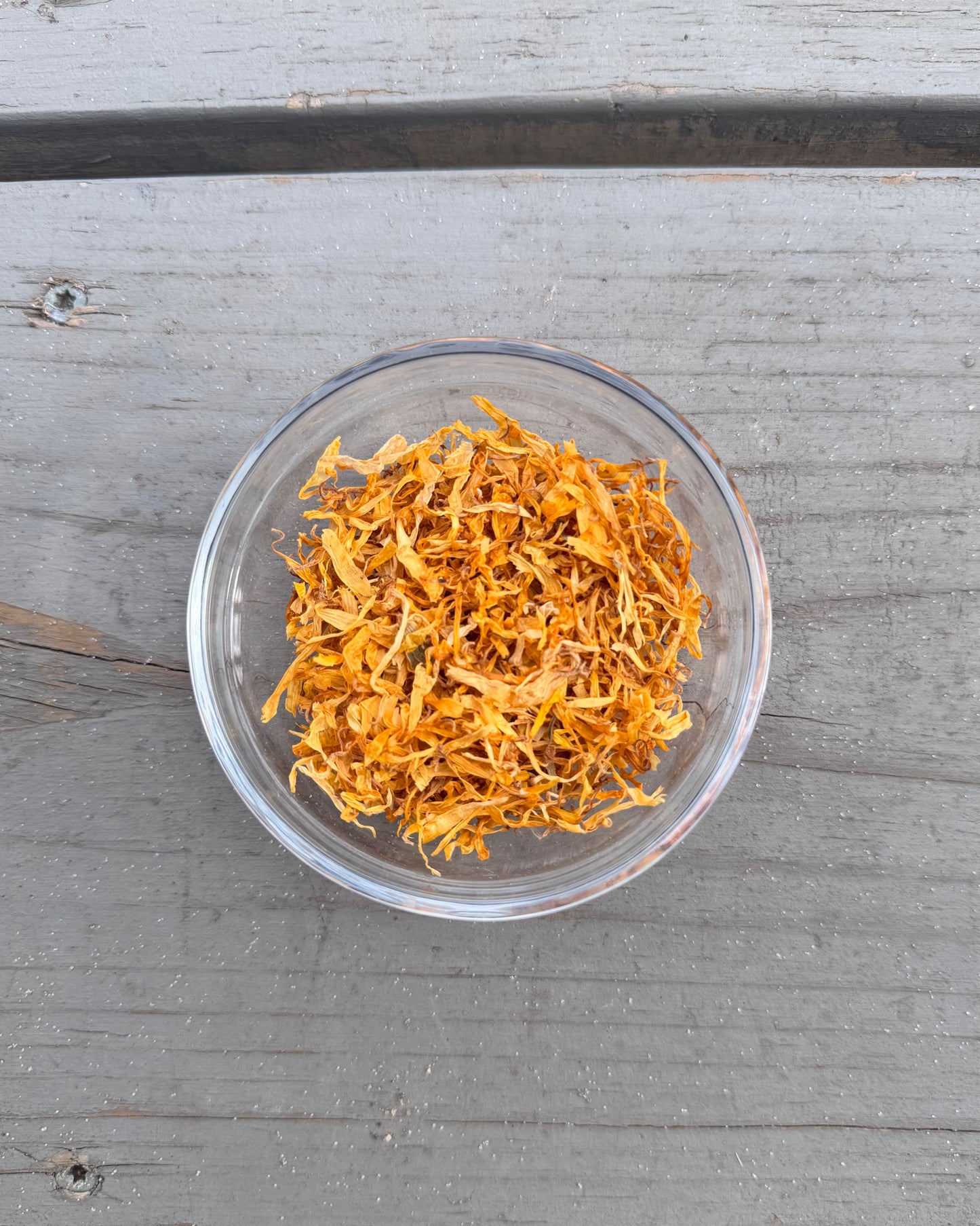 Calendula Flower