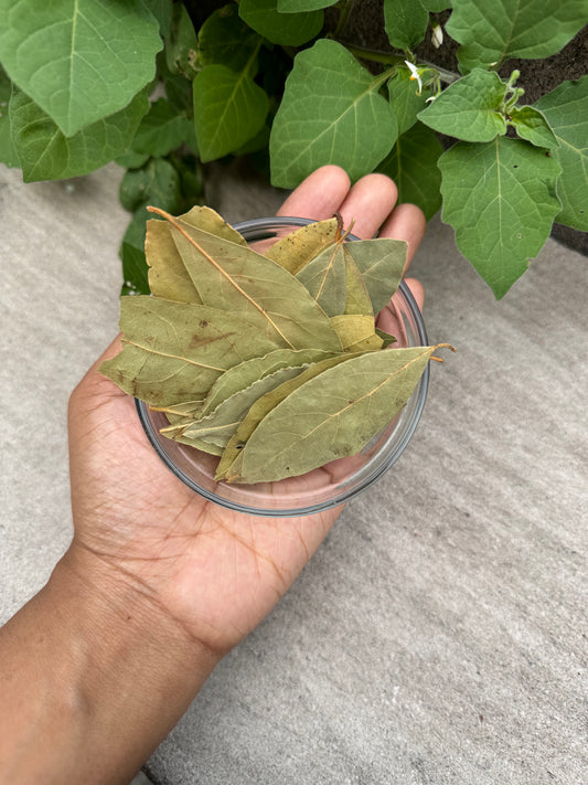 Bay Leaf